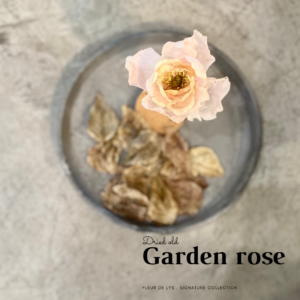 GARDEN ROSE - WAFER PAPER FLOWERS - SET OF 3