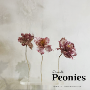 DRIED OLD PEONIES - WAFER PAPER FLOWERS - SET OF 3