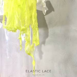 Capa Ebook Elastic Lace