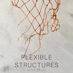 Capa Ebook Flexible Structures